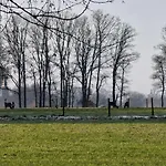 Weidezicht Lievelde