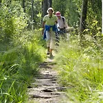 Weidezicht Lievelde