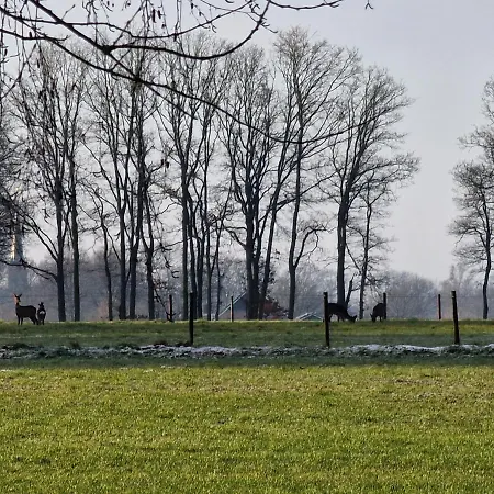 Weidezicht Lievelde