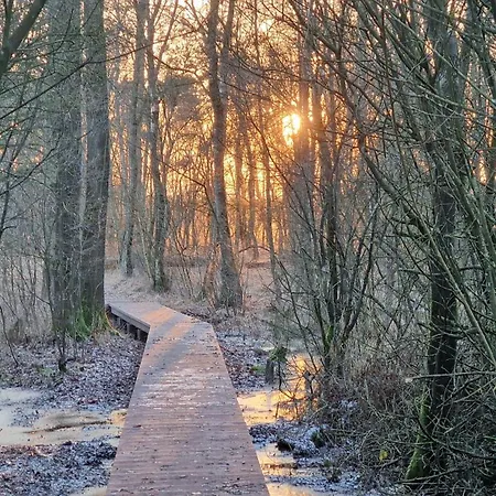 בית נופש Weidezicht